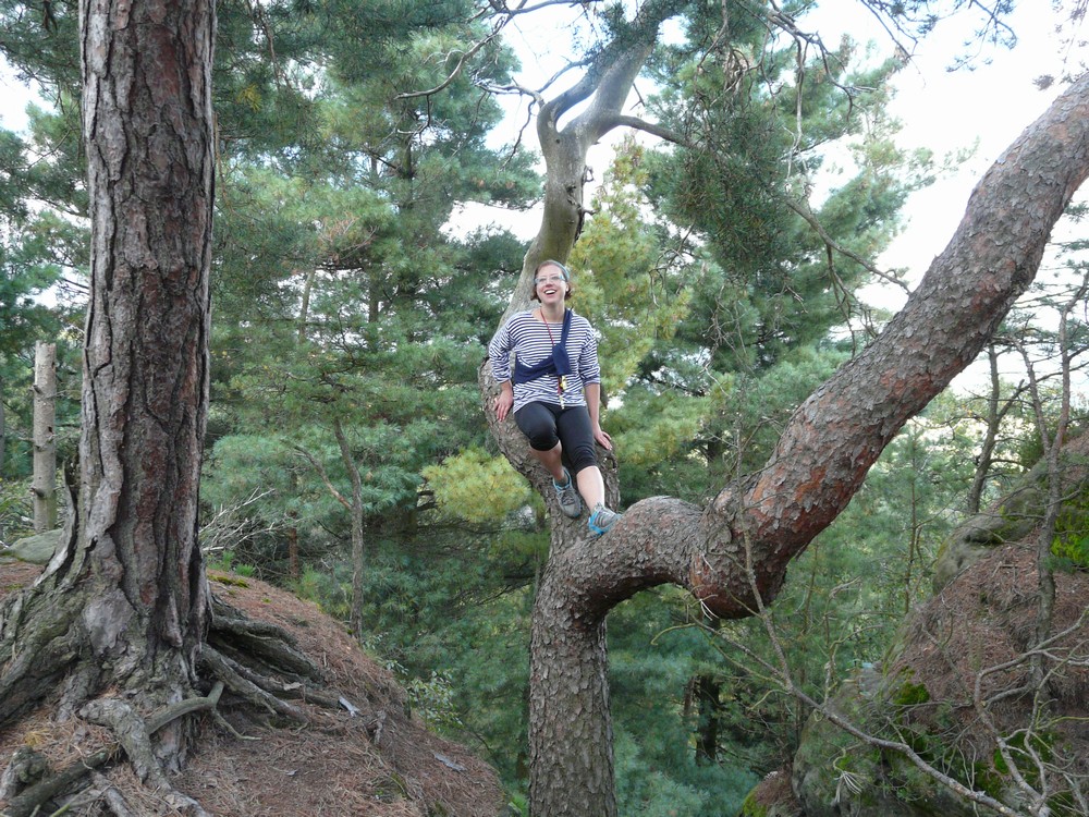 069 CAL Zahajovacka 2010